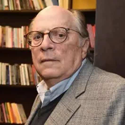 Professor Miguel Reale Júnior