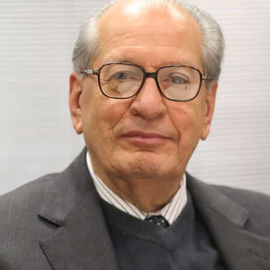 Professor Humberto Theodoro Júnior